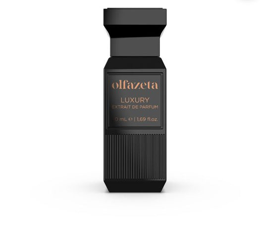 Profumo Uomo Luxury 074 da 50 ml